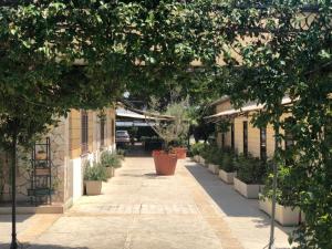 Giardino di Albergo Conca D'Oro