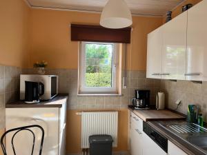 a kitchen with a refrigerator and a window in it at Appartement Am Weinberg in Radebeul