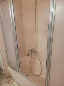 een douche met een glazen deur in de badkamer bij Appartement 3 eme etage Ortaköy No 5 in Istanbul