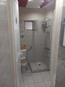 a bathroom with a shower and a toilet in it at House marios airport in Spata