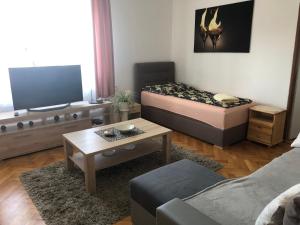 ein Wohnzimmer mit 2 Betten und einem TV in der Unterkunft Apartmán v Týně nad Vltavou in Týn nad Vltavou