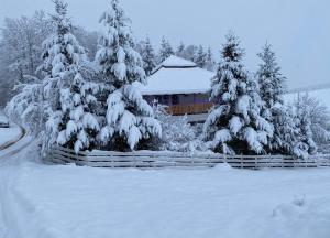 a house covered in snow in front of trees at Vila GUŠT in Zlatibor
