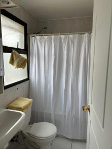 Depto LAS CONDES-EST ESPAÑOL في سانتياغو: حمام مع ستارة دش بيضاء ومرحاض