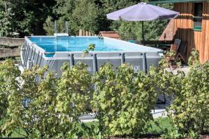 einen Pool in einem Garten mit Sonnenschirm in der Unterkunft Holzhäuschen mit Pool 