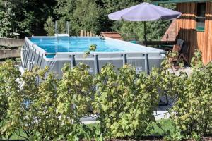 - une piscine dans un jardin avec un parasol dans l'établissement Holzhäuschen mit Pool, 