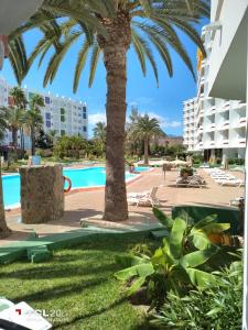a view of the pool and palm trees at the resort at Casa Maya in Maspalomas