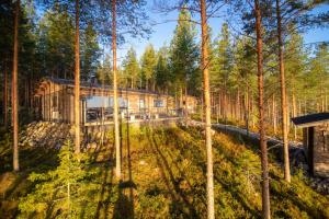 a house in the middle of a forest at Villa Ukkoteeri in Savonranta