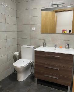 ein Bad mit einem WC und einem Waschbecken in der Unterkunft Casinha da Ti'Augusta in Lamego