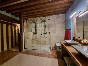 a bathroom with a walk in shower and a sink at 2 Suites dans demeure authentique du XVÈME 