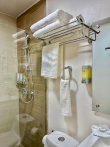 a bathroom with a toilet and a shower with towels at Cozy Hideaway Apt Near Beach in Boca Chica
