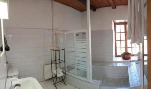 コブケクラにあるCasona Patrimonial Cobquecura Hotel Boutiqueのバスルーム(シャワー、トイレ、シンク付)
