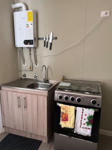 a small kitchen with a stove and a sink at Casa Nueva 3 dormitorios 2B in Puerto Montt