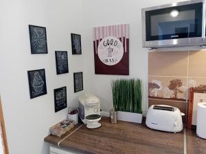 Kuchyň nebo kuchyňský kout v ubytování Green belt apartmann