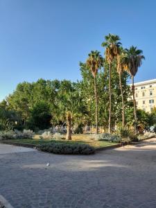 un parc avec des palmiers et un bâtiment en arrière-plan dans l'établissement Pensiero Romano, à Rome