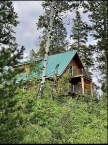 una baita di tronchi con tetto verde nel bosco di Cerul Mare Cabin a Gallatin Gateway