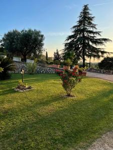 een park met een boom en een bos met rode bloemen bij Room24 in Genzano di Roma