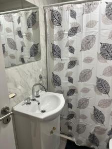 La salle de bains est pourvue d'un lavabo et d'un rideau de douche. dans l'établissement Ministro Brin Suite MT, à Remedios de Escalada