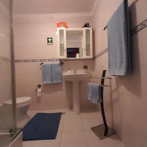 a bathroom with a sink and a toilet and a mirror at Paradise House Ground floor apartment in Villa with private pool and private garden in Abrantes