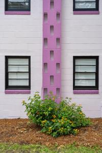 a building with windows and a bush with flowers at Folly Vacation Great Location, Vintage and Fun 120 Unit B in Folly Beach