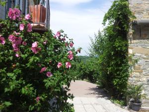 Giardino di Boutique Hotel Dvor