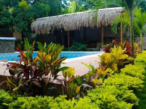 a resort with a swimming pool and some plants at Hostal Los Arhuacos in Santa Marta