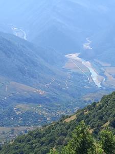 a view of a river from a hill with trees at VILA CANI in Tepelenë