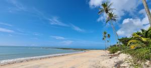 una playa con palmeras y el océano en Caiana loft Cumuruxatiba en Cumuruxatiba