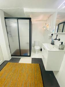 ein Bad mit einer Dusche, einem Waschbecken und einem WC in der Unterkunft Tarihi kent ev in Mardin