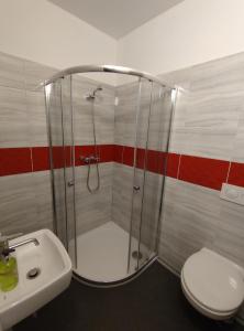 e bagno con doccia, servizi igienici e lavandino. di Penzion Na Protivínské a Strakonice
