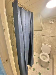a bathroom with a toilet and a blue shower curtain at 1 Bedroom Apartment by London Stratford in London