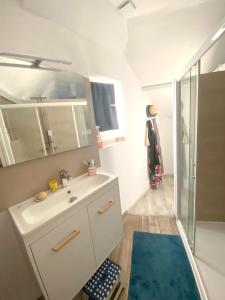 bagno con lavandino bianco e doccia di Maison de 3 chambres avec jardin clos et wifi a Dreux a Dreux