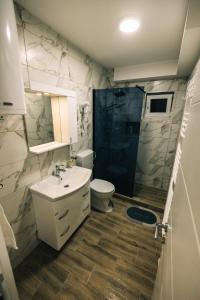 a bathroom with a sink and a toilet and a shower at Jelenin konak in Nova Varoš