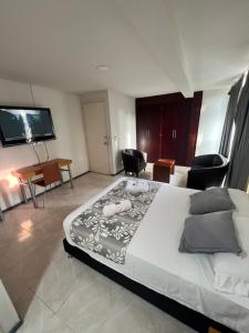 a bedroom with a large bed and a flat screen tv at Hotel Boutique Santa Ana in Cartago