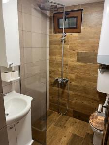 W łazience znajduje się prysznic, toaleta i umywalka. w obiekcie Brvnara Plavnica 