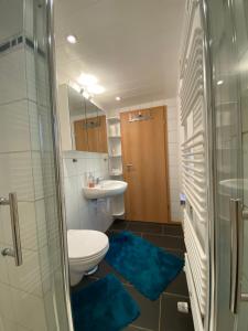 a bathroom with a toilet and a sink and a shower at Erichshagener Ferienlaube in Erichshagen +29 photos