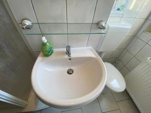 Koupelna v ubytování Monteur und Ferienwohnung THMS 14 R
