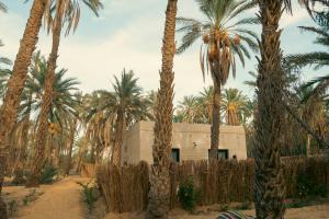a building with palm trees in front of it at Villa Taouzert in Tozeur
