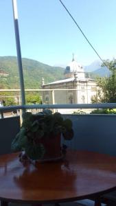 eine Topfpflanze auf einem Tisch auf einem Balkon in der Unterkunft GuestHouse Oni-Li in Oni