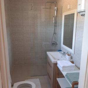 un bagno con doccia, WC e lavandino di Holiday home Dani a Bihać