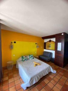 a bedroom with a bed with a cat laying on it at Studio au soleil levant, avec piscine in La Trinité +11 photos