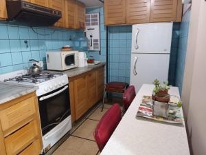 A kitchen or kitchenette at L&J Departamento