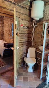 a bathroom with a toilet in a log cabin at Viini puhkemaja in Myustelʼ