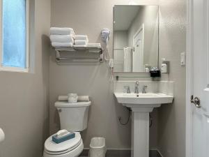 bagno con lavandino, servizi igienici e specchio di Bluebird Inn a Cambria