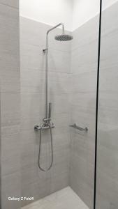 y baño con ducha con cabezal de ducha. en De lenco Residence 4, en Atenas