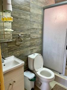 a bathroom with a toilet and a sink at Entre Rieles Cabañas y Restaurante in Calama