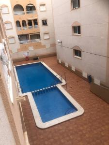 a large swimming pool in a large building at Torresal in Torrevieja