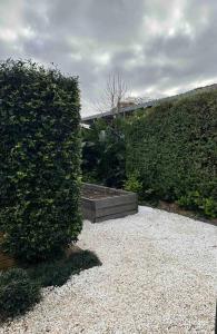 a garden with two large hedges and a planter at The Goody House in Unley