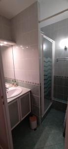 a bathroom with a sink and a shower at L'appart Le Plein Sud - Superdévoluy - Appartement T2 lumineux sur le front de neige in Le Dévoluy +15 photos