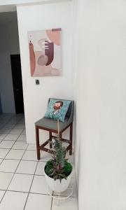 a bench sitting in a room with a plant at Azul y buenas noches in Orizaba