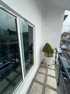 a potted plant sitting on the balcony of a building at Azul y buenas noches in Orizaba